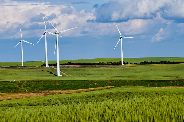 Wind turbines on a farm field